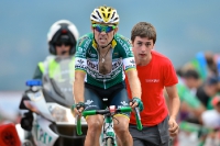 David Arroyo, Vuelta a España 2014