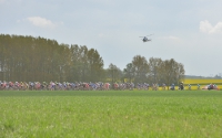 Paris - Roubaix 2014, Peloton