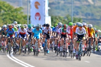 Silvio Herklotz, UCI Road World Championships 2014