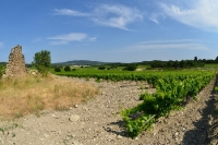 Landschaft in der französischen Provence