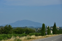 typische Landschaft in der Provence