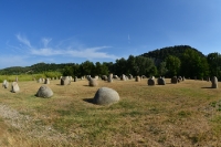 typische Landschaft in der Provence