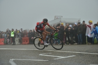 Greg Van Avermaet, Tour de France 2014