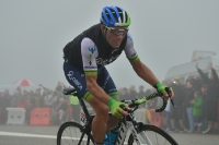 Michael Albasini, Tour de France 2014