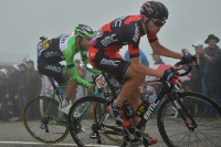 Peter Stetina, Tour de France 2014
