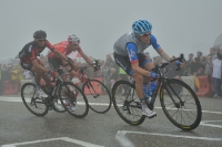 Peter Velits, Tour de France 2014