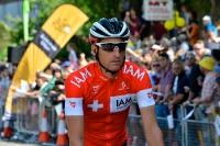 Martin Elmiger, Tour de France 2014