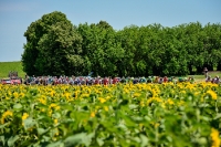 7. Etappe Tour de France