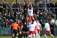 Rugby: Deutschland vs. Polen, Sportforum Berlin