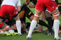 Rugby Länderspiel: Deutschland vs. Polen 43:13