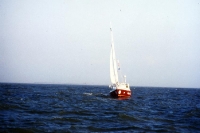 Segeln auf der Ostsee im Herbst, unterwegs mit einem 8-Meter-Boot des Typs Hiddensee
