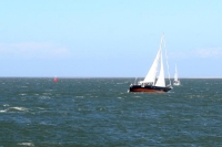 Segeln auf der Nordsee vor der niederländischen Küste