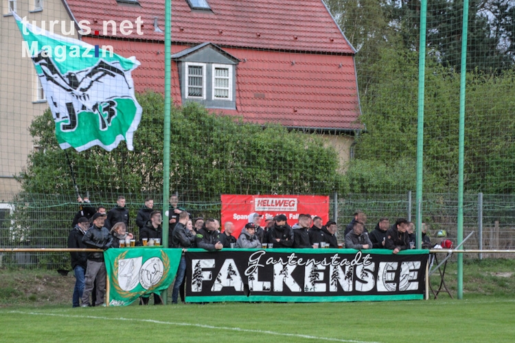 SV Falkensee-Finkenkrug vs. SC Eintracht Miersdorf/​Zeuthen