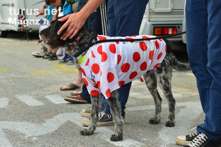 Hund im gepunkteten Bergtrikot der Tour de France