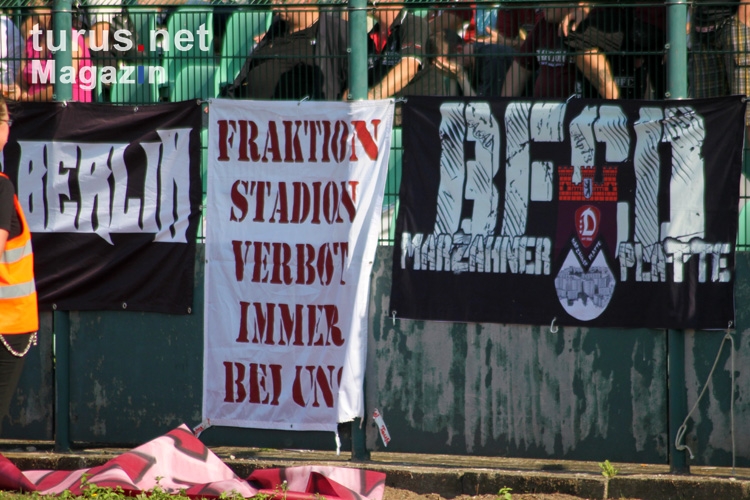 BFC Dynamo vs. FSV 63 Luckenwalde, 14. September 2013