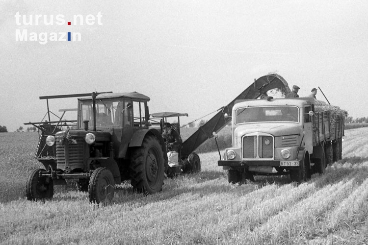 Erntearbeiten auf einer LPG in der DDR / SBZ, 50er Jahre im Großraum Leipzig