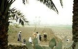 Feldarbeit am Nil in Ägypten
