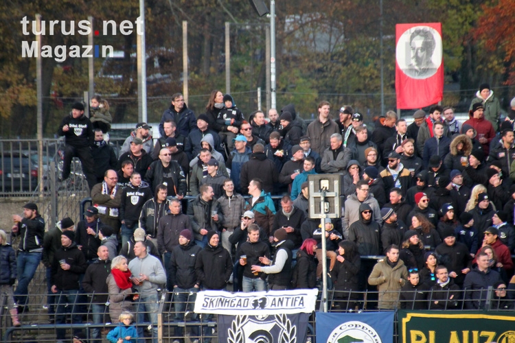 SV Babelsberg 03 vs. BFC Dynamo