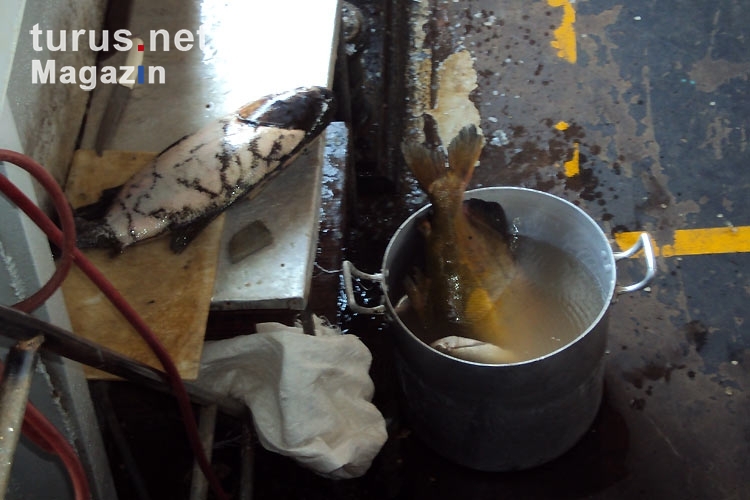 Leckere Fischsuppe auf einem brasilianischen Schiff