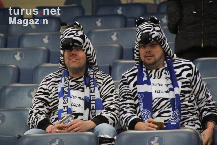 Duisburg Fans als Zebras