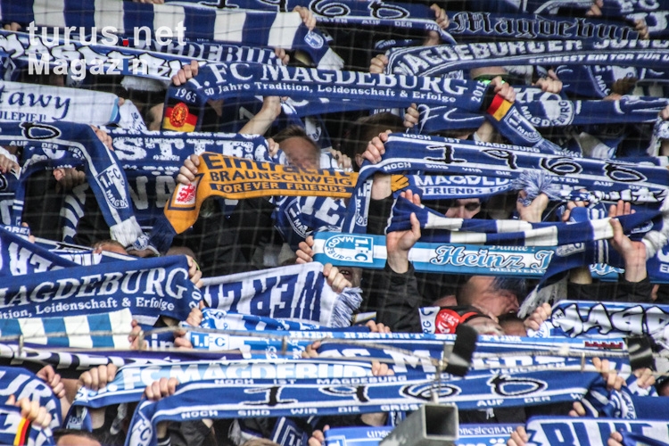 1. FC Magdeburg bei Hansa Rostock