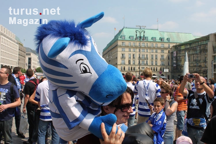 Zebrastreifen weiß und blau: Fans des MSV Duisburg in Berlin beim DFB-Pokalfinale 2011