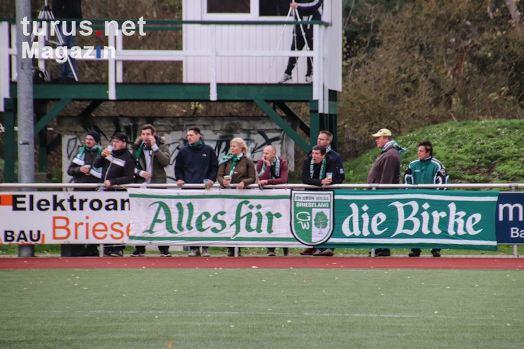 SV Grün-Weiss Brieselang vs. F.C. Hansa Rostock II