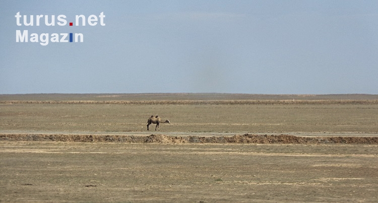 Landschaft in Kasachstan