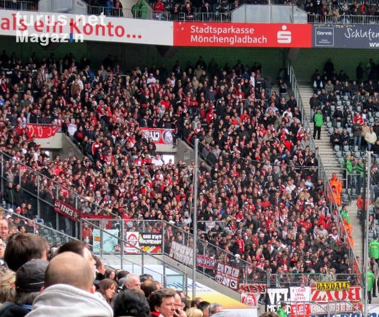 Borussia Mönchengladbach - FC Köln: Gästeblock