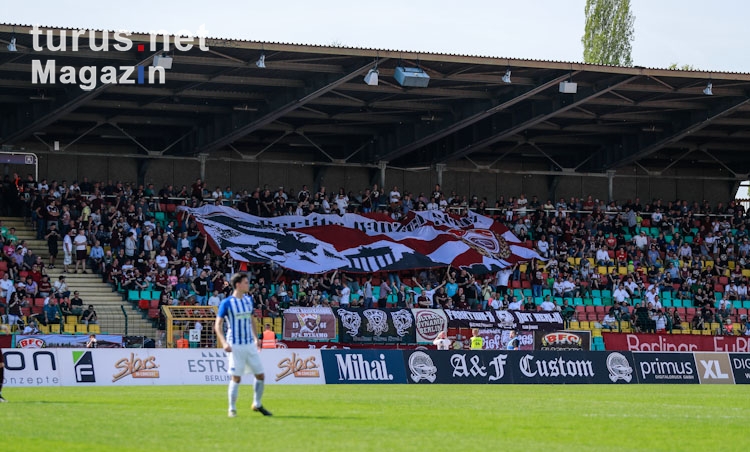 BFC Dynamo vs. Hertha BSC II