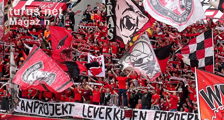 Bayer 04 Leverkusen vs. VfB Stuttgart
