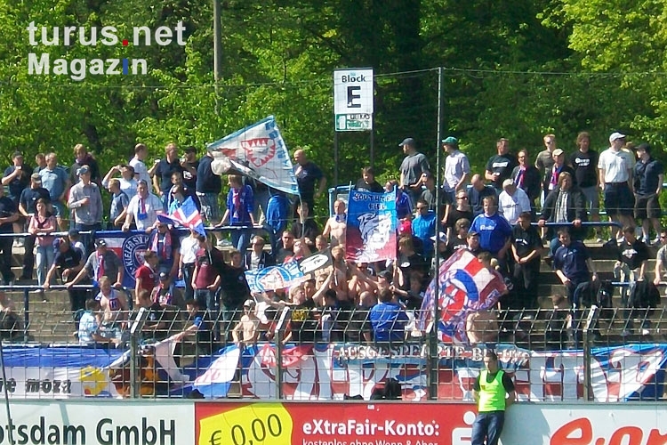 Fans von Holstein Kiel in Babelsberg