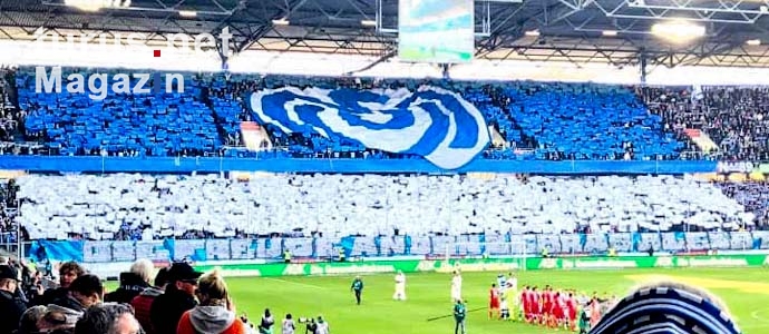 MSV Duisburg vs. 1. FC Köln
