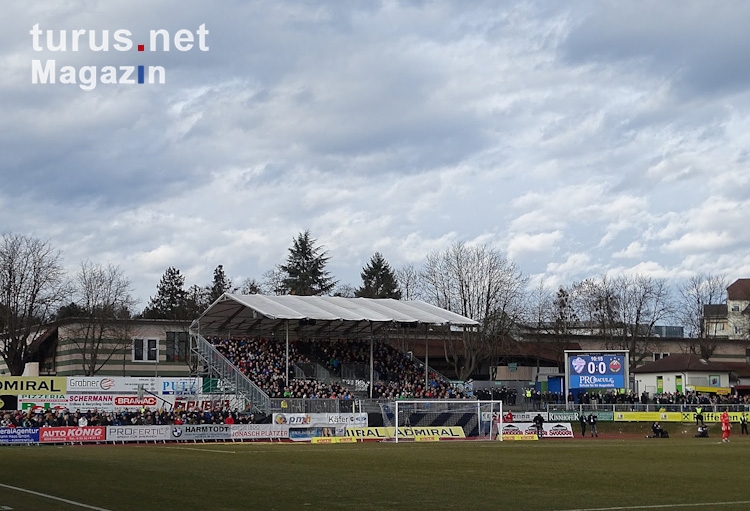 TSV Hartberg vs. SK Rapid Wien