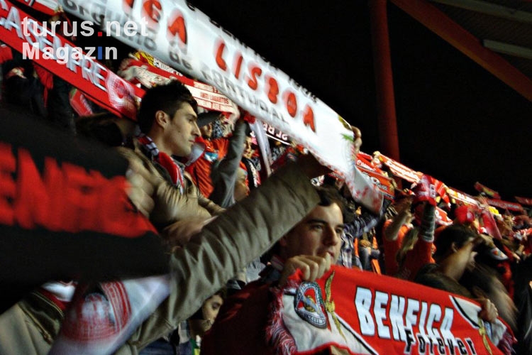 Fankurve von Benfica Lissabon
