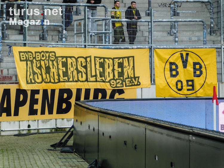 Hallescher FC vs. Borussia Dortmund II 