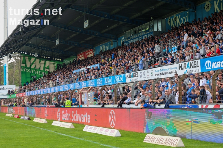 SV Meppen Fans jubeln