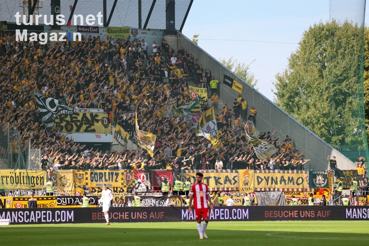 Dynamo Dresden Fans in Essen 01.10.2023