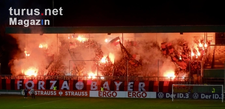 SV Sandhausen vs. Bayer 04 Leverkusen 
