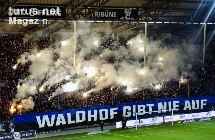 SV Waldhof Mannheim vs. Arminia Bielefeld 