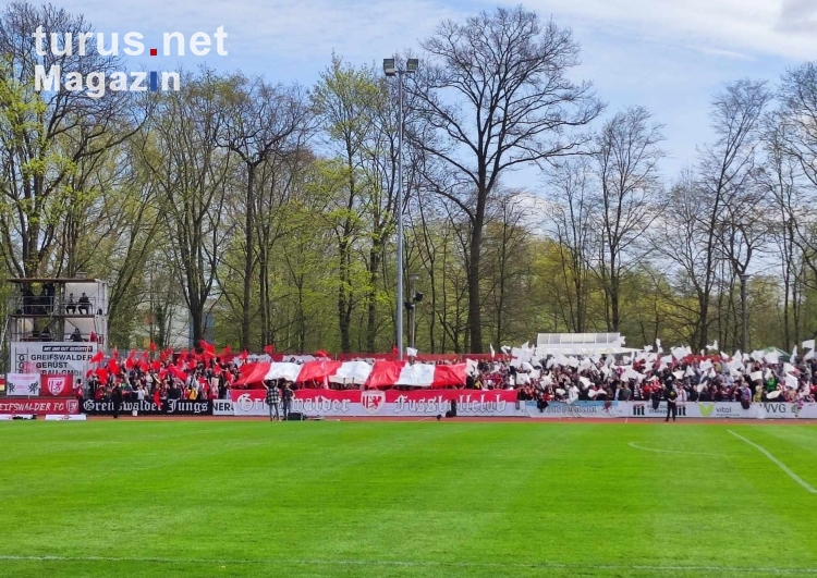 Greifswalder FC vs. F.C. Hansa Rostock II