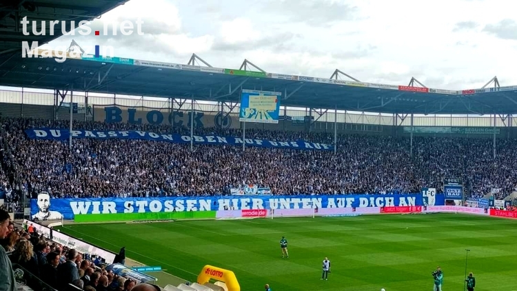 1. FC Magdeburg vs. Hamburger SV 