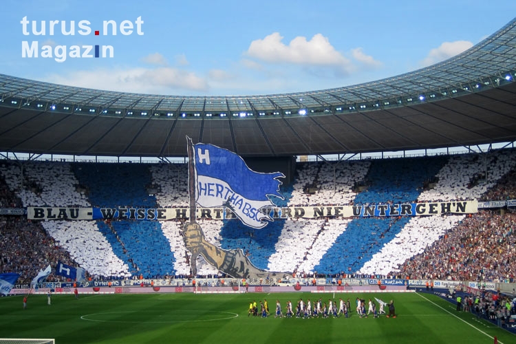 Hertha BSC, Supporters in 