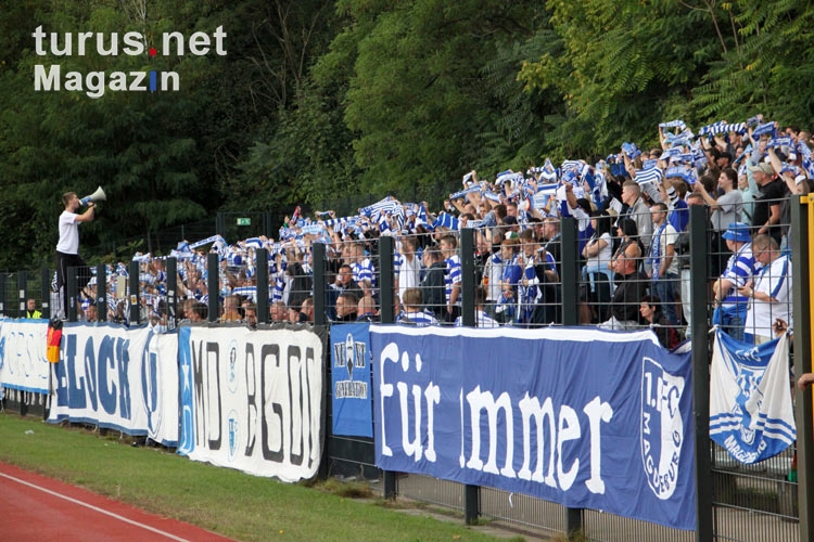 Berliner AK 07 gegen 1. FC Magdeburg, 2012/13