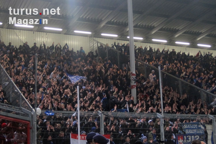 Fans von Hertha BSC in Cottbus
