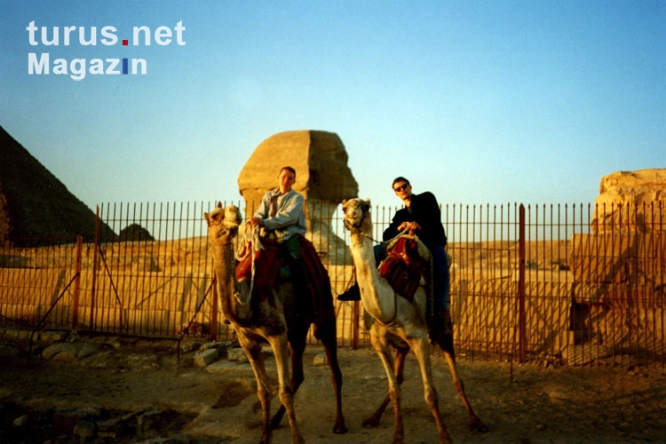 klassischer Kamelritt bei den Pyramiden bei Gizeh