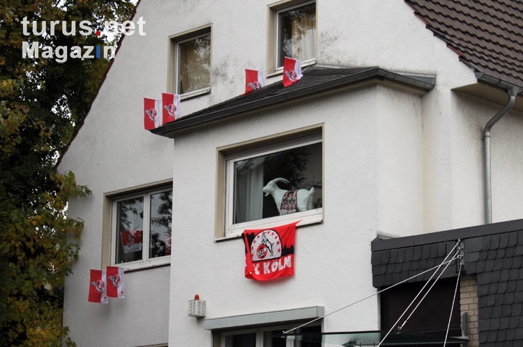 beflaggtes Haus in Köln Müngersdorf