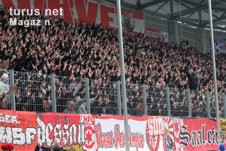 Fans des HFC beim Spiel gegen Rostock