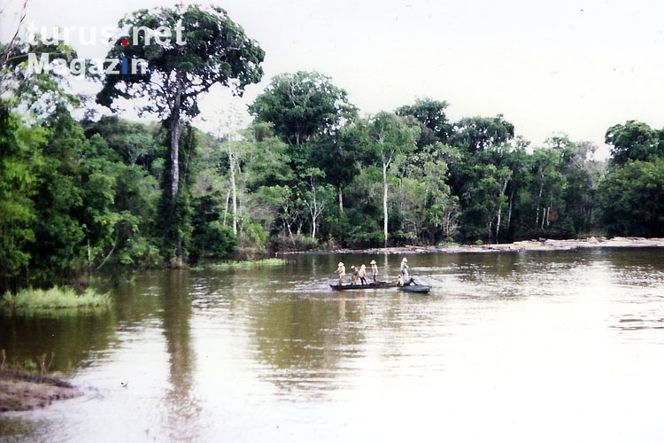 Fischer auf dem Amazonas bei Anori und Manaus