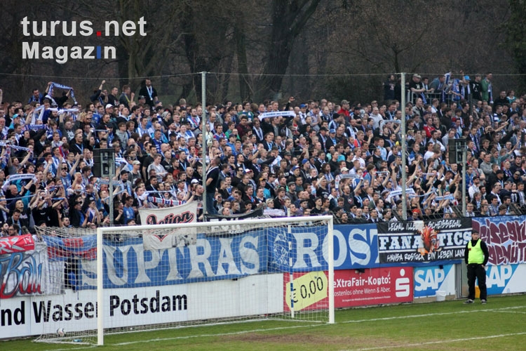 Hansa Rostock Fans beim SV Babelsberg 03